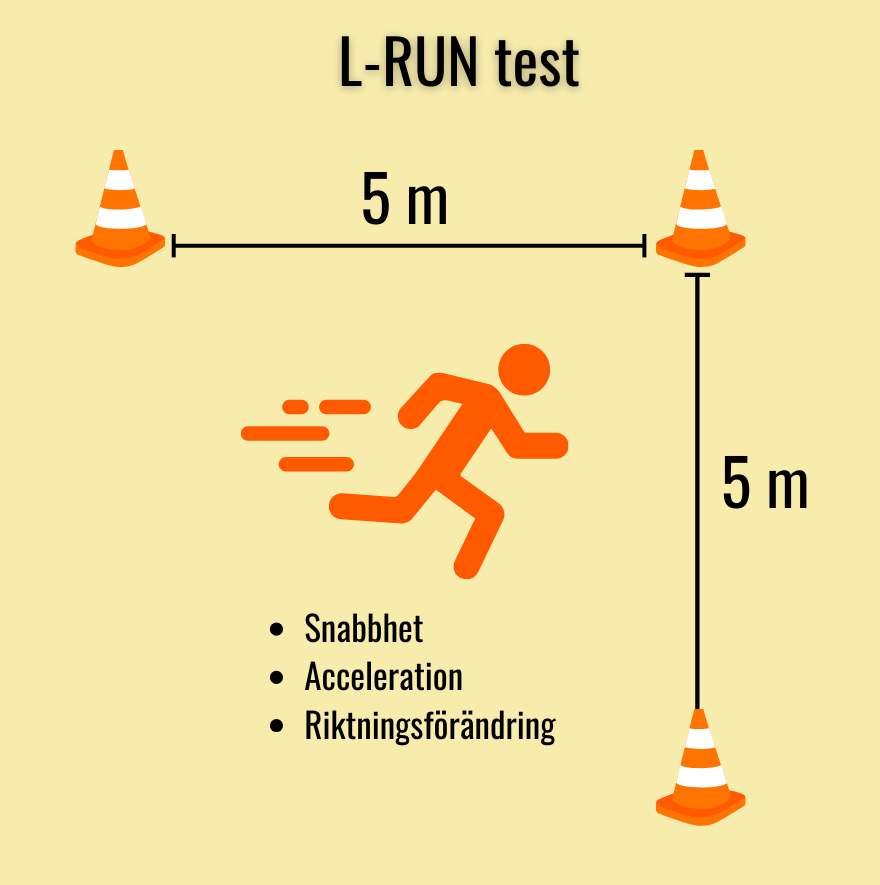 schematisk bild över L-run test