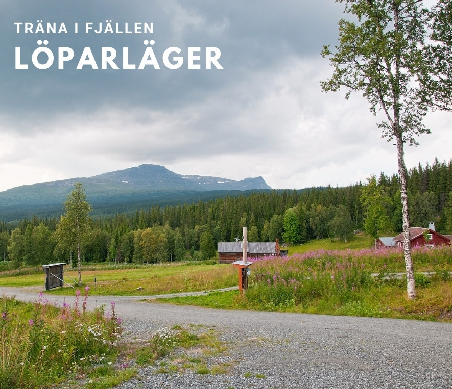 Jämtländska fjäll bra för löparläger